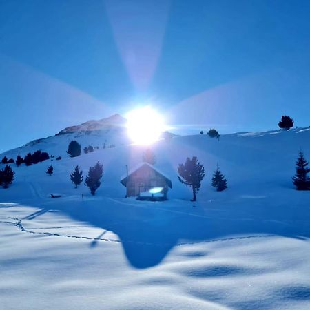 Haus Alpenblick Daire See Dış mekan fotoğraf