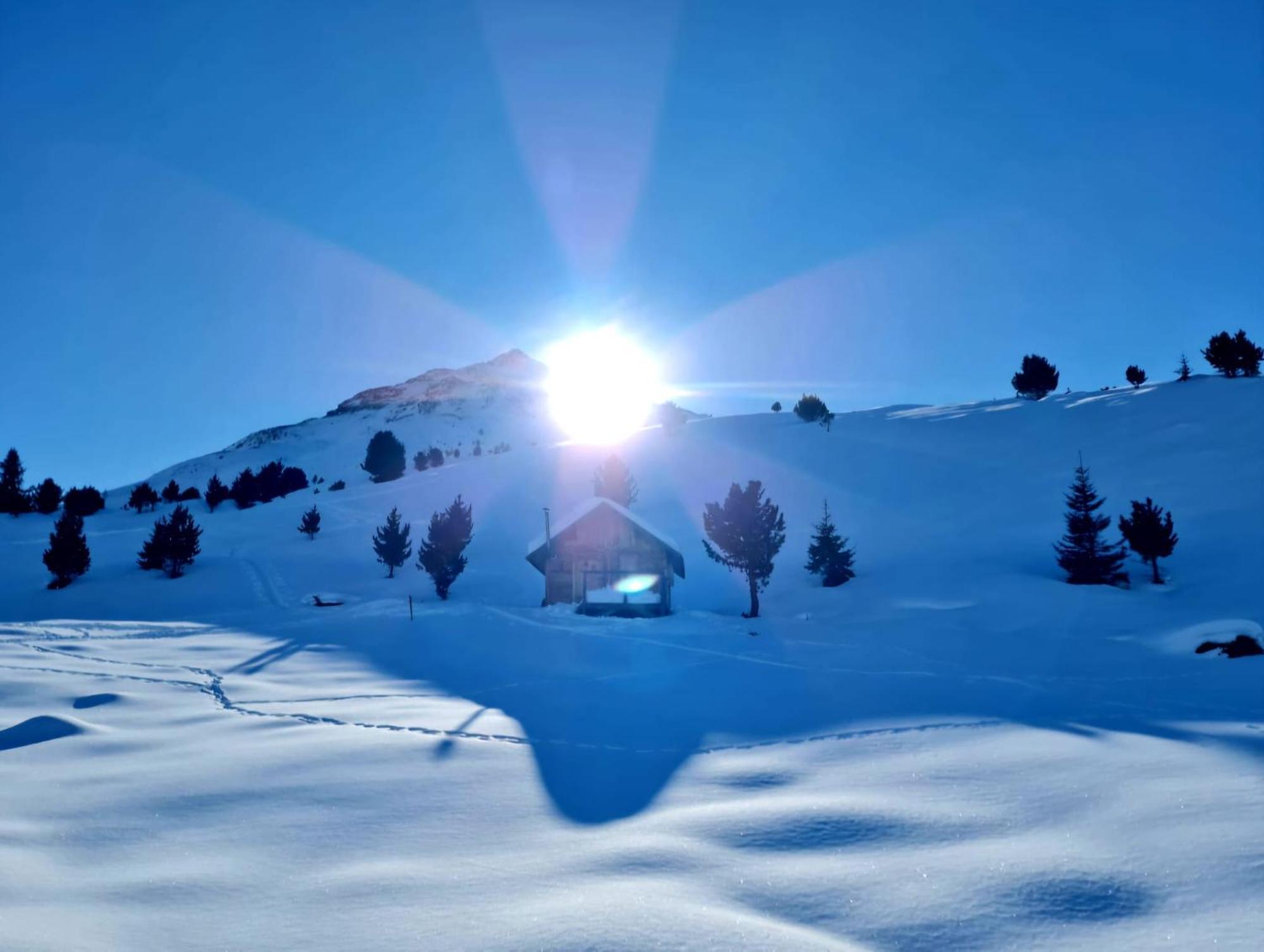 Haus Alpenblick Daire See Dış mekan fotoğraf